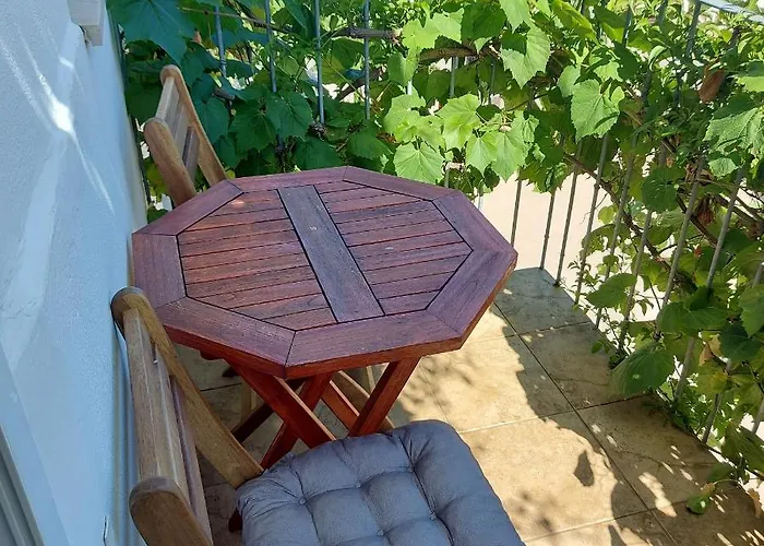 Guest house Ivanovic 3*