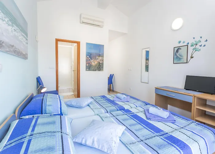 Ivanovic Guest house 3*