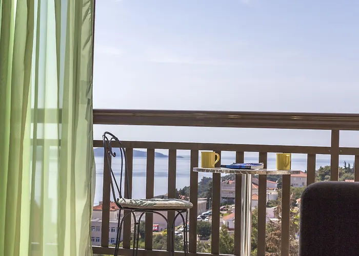 Guest house Ivanovic 3*