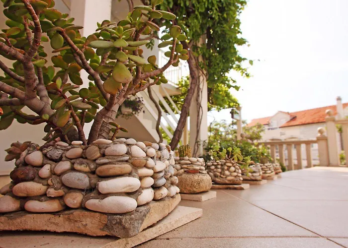 Ivanovic 3* חוואר